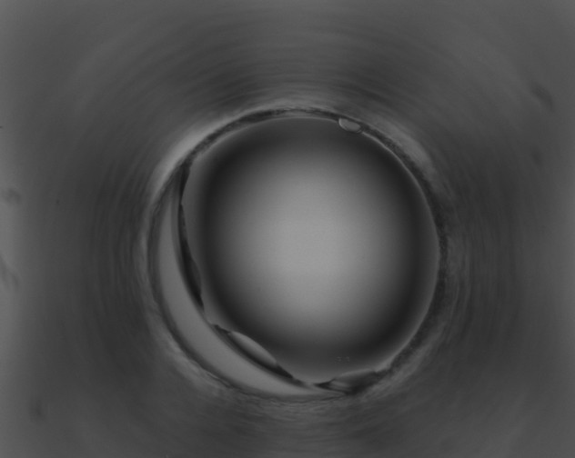 X0000090870936200708031006