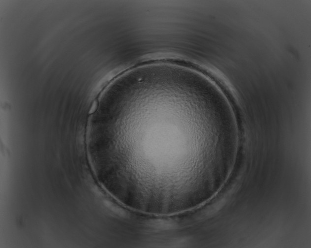 X0000090870937200708031006