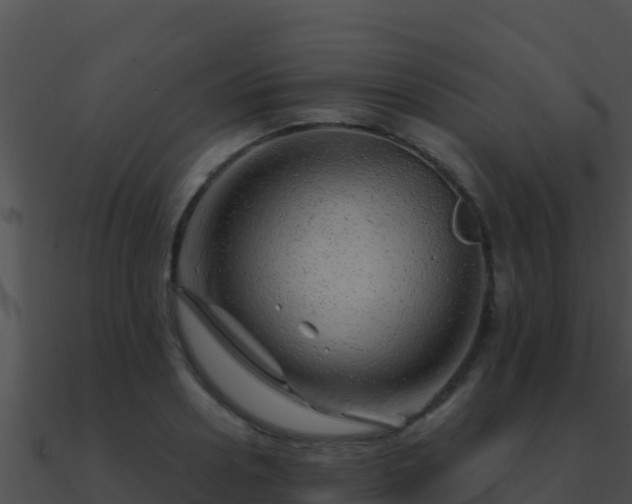 X0000090870938200708031006