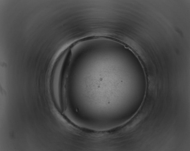 X0000090870939200708031006