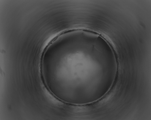 X0000090870941200708031006