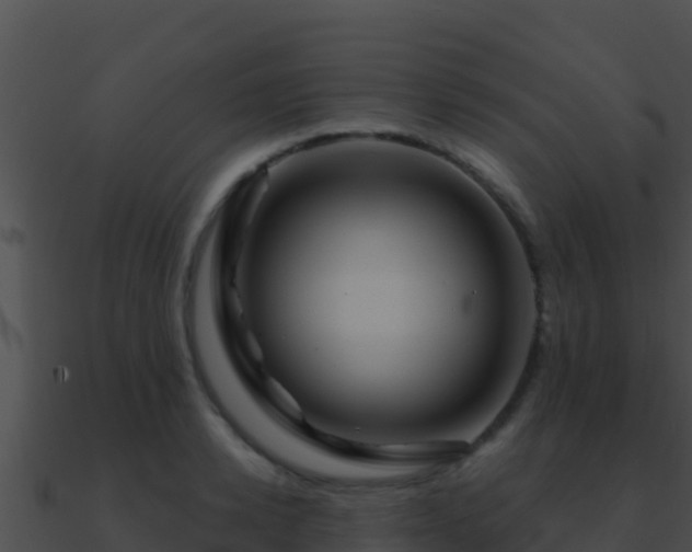 X0000090870942200708031006