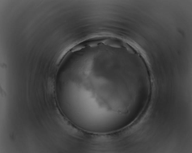 X0000090870945200708031006