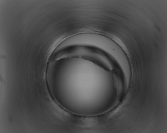 X0000090870946200708031006