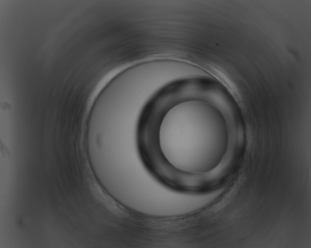 X0000090870948200708031006