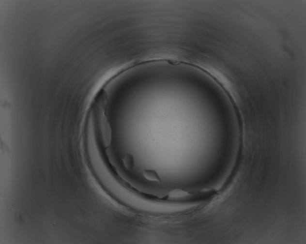 X0000090870949200708031006