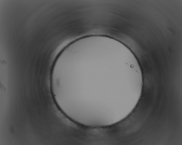 X0000090870950200708031006