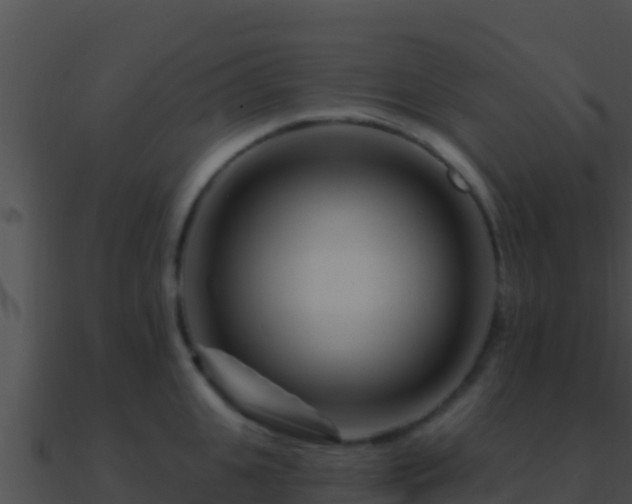 X0000090870951200708031006