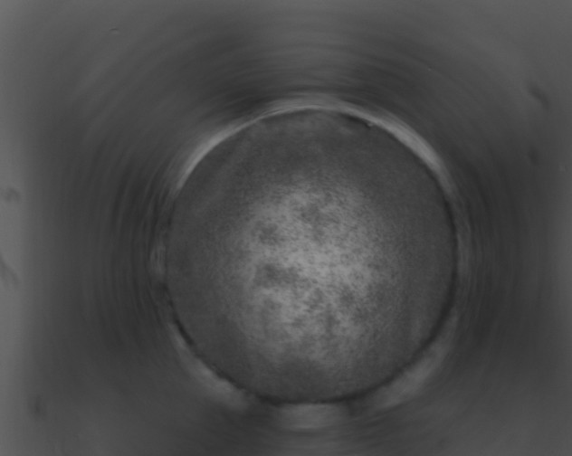 X0000090870953200708031006