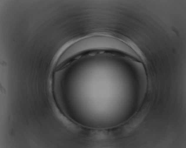 X0000090870955200708031007