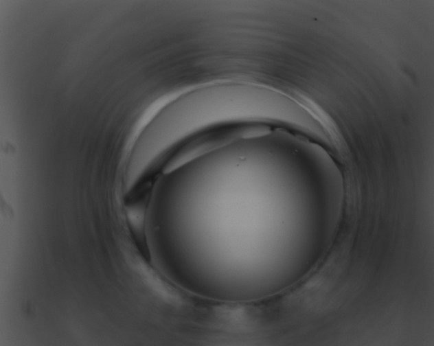 X0000090870956200708031007