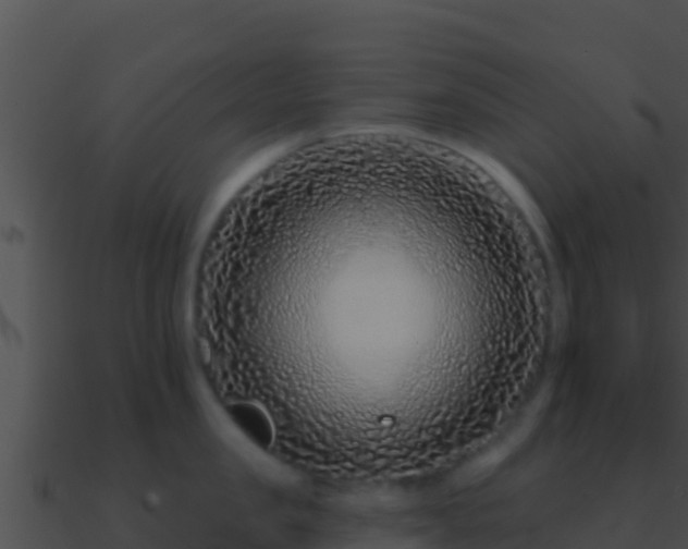 X0000090870957200708031007