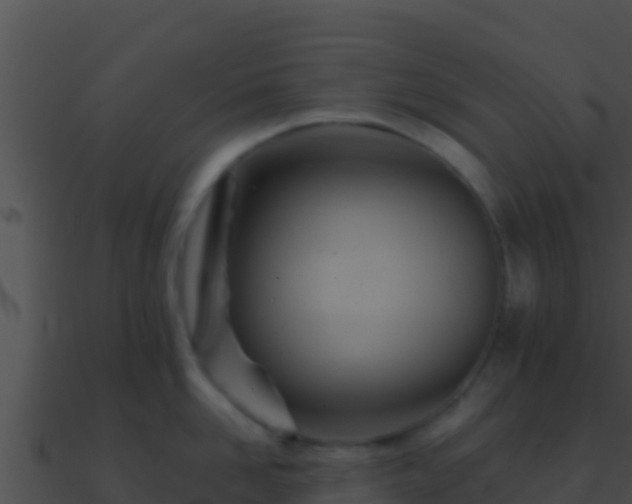 X0000090870958200708031007