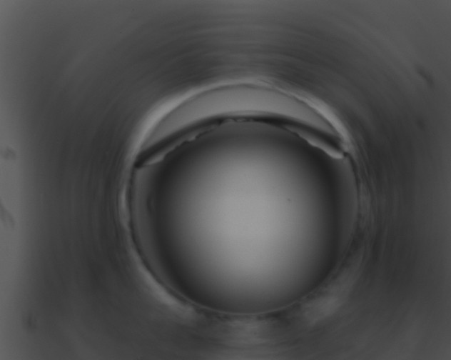 X0000090870959200708031007