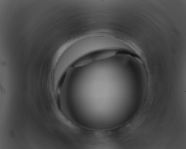 X0000090870960200708031007