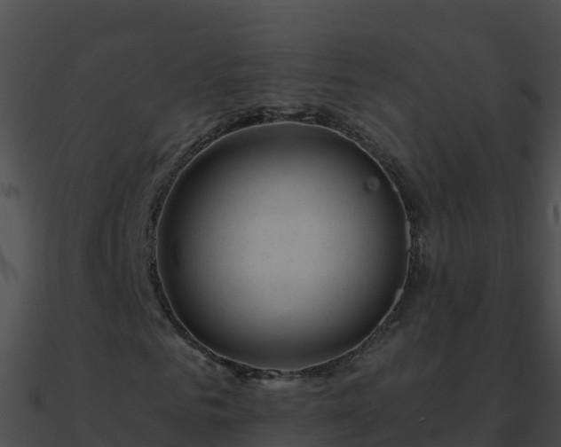 X0000090870961200708031006