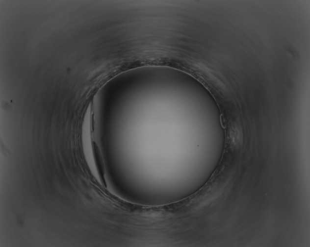 X0000090870964200708031006