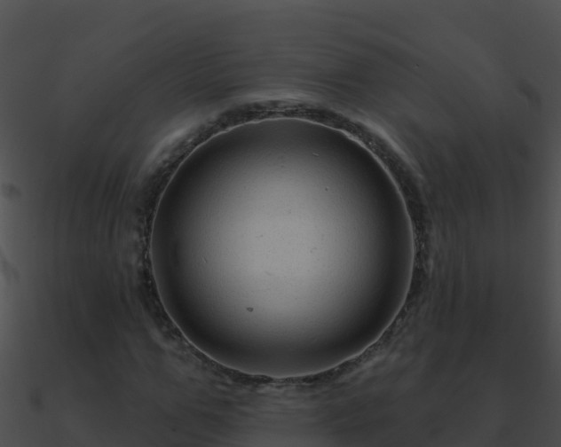 X0000090870967200708031006