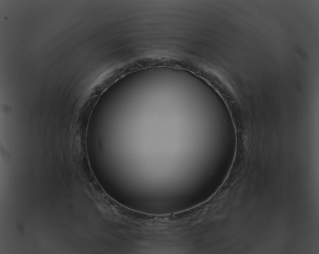 X0000090870968200708031006