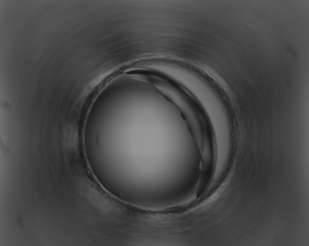 X0000090870969200708031006