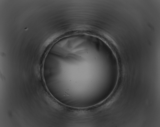 X0000090870970200708031006