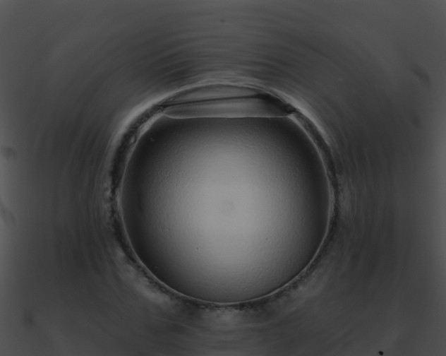 X0000090870971200708031005