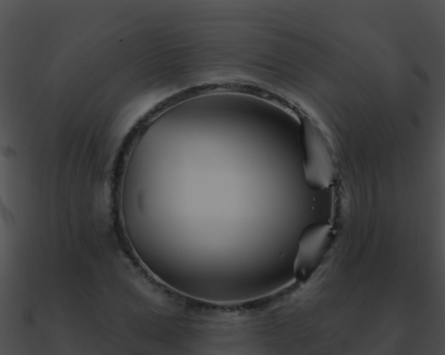 X0000090870975200708031005