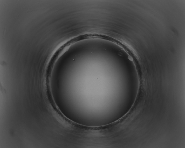 X0000090870976200708031005