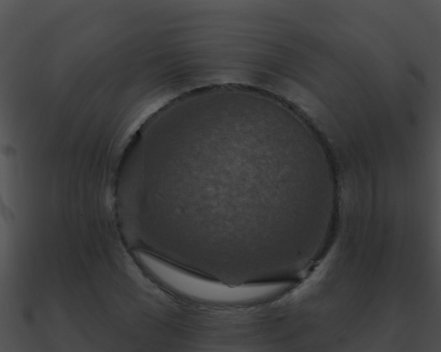 X0000090870977200708031005