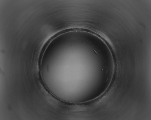 X0000090870980200708031005