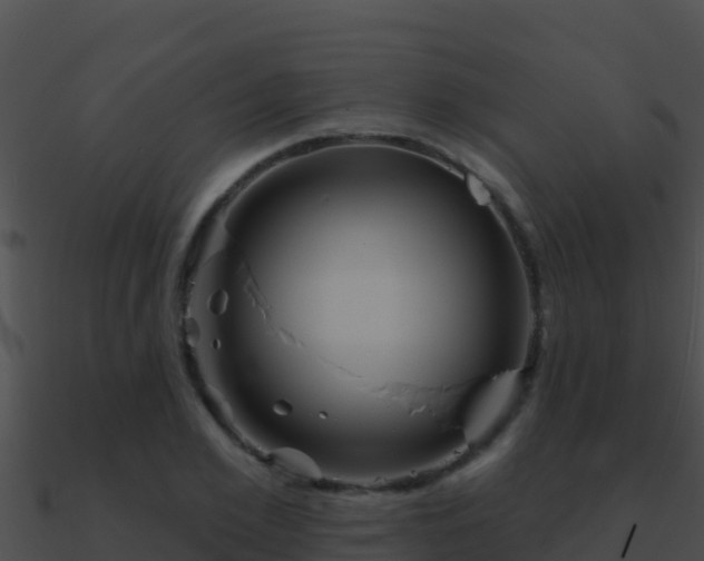 X0000090870981200708031005