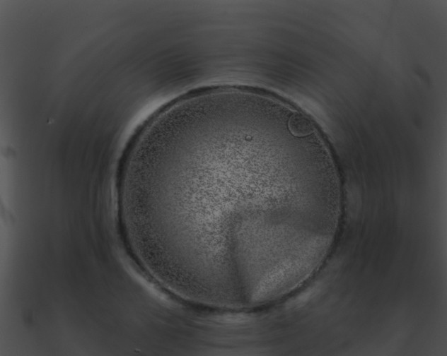 X0000090870982200708031005