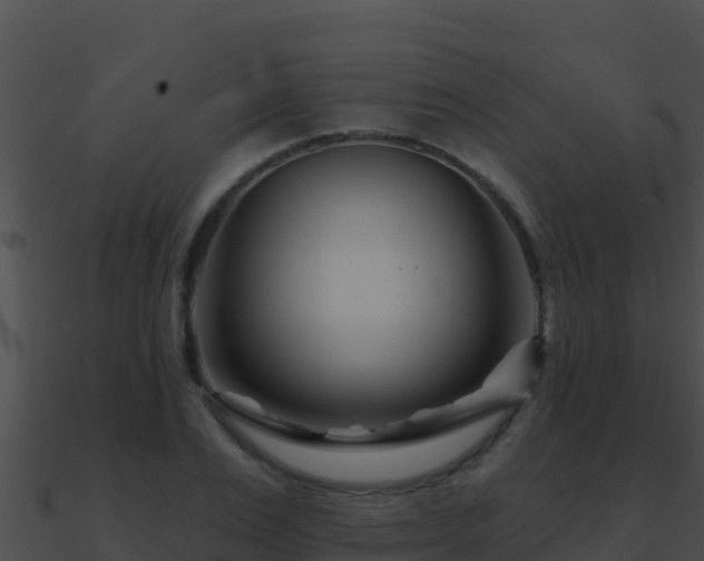 X0000090870983200708031005