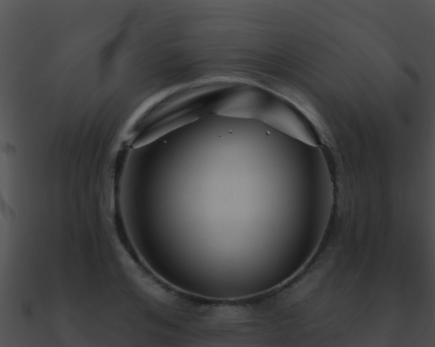 X0000090870984200708031005