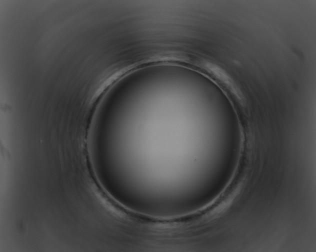 X0000090870985200708031005