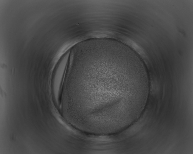 X0000090870986200708031005