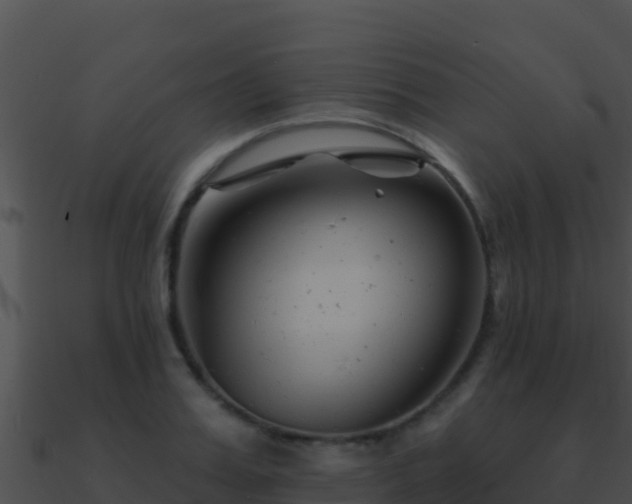 X0000090870987200708031005