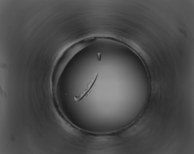 X0000090870988200708031005