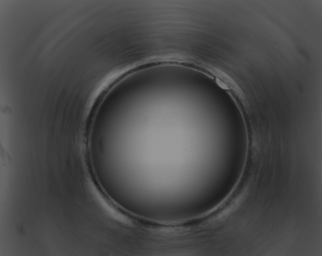 X0000090870989200708031005