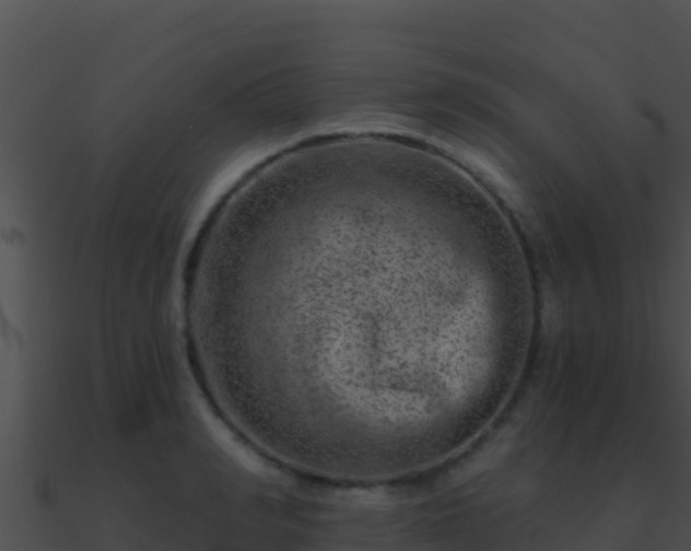 X0000090870990200708031005