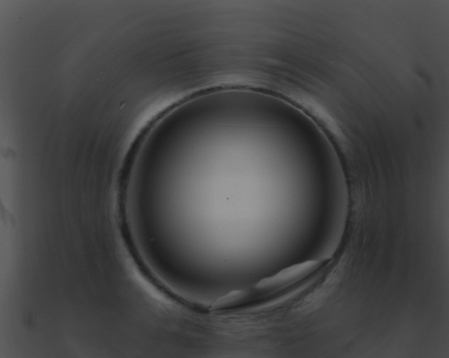 X0000090870991200708031005