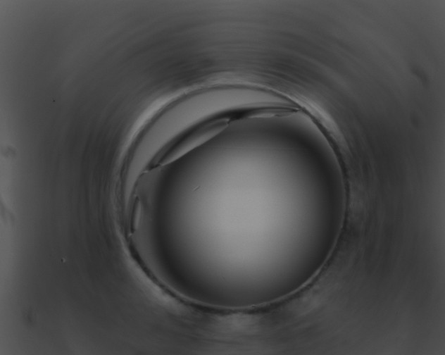 X0000090870992200708031005