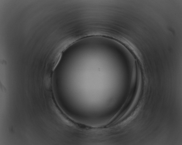 X0000090870993200708031005