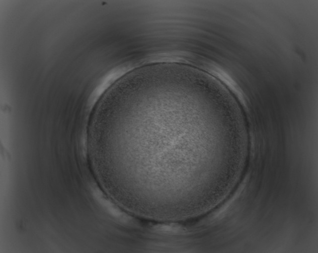 X0000090870994200708031005