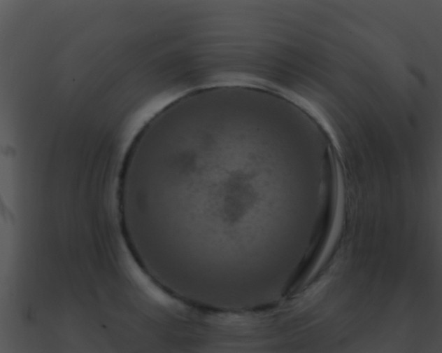 X0000090870995200708031005