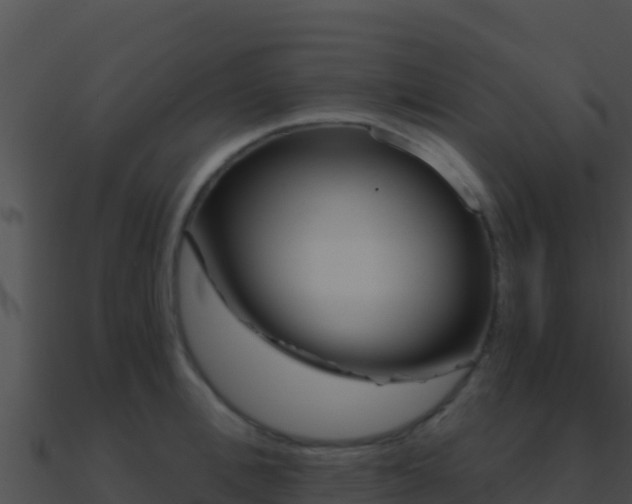 X0000090870996200708031005