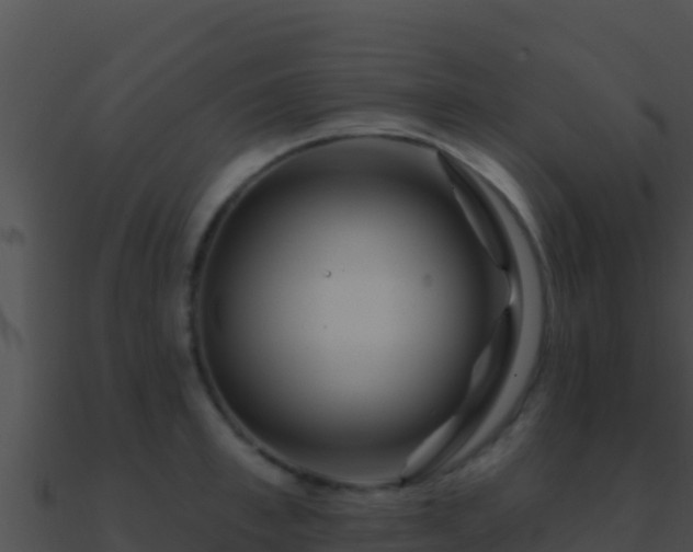 X0000090870997200708031005