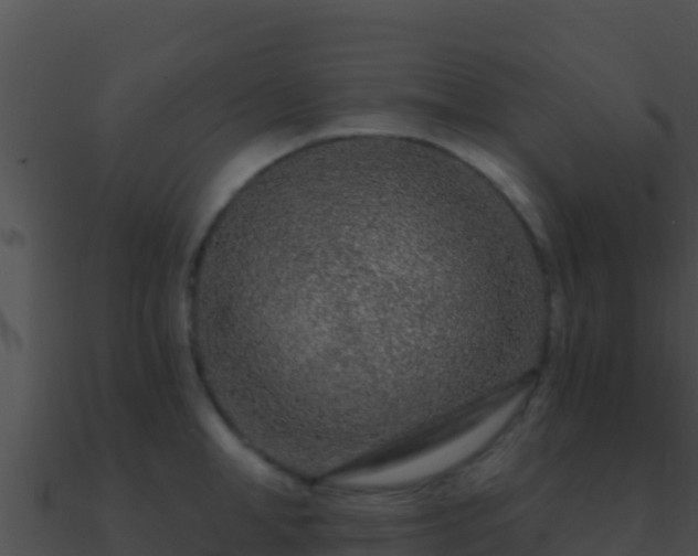 X0000090870998200708031005