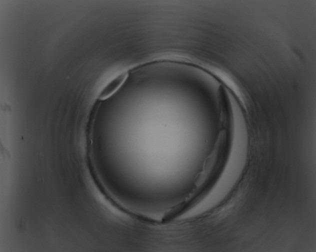 X0000090870999200708031005