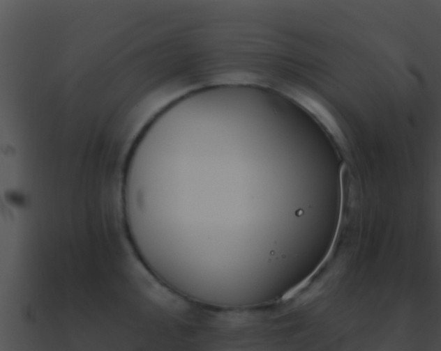 X0000090871000200708031005